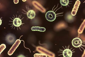 Can it mutate in microscopic organisms?