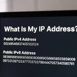 What Is My IP Address? (Public IPv4 & IPv6)