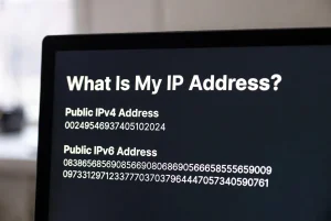 What Is My IP Address? (Public IPv4 & IPv6)